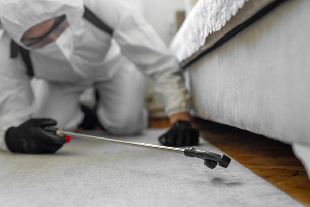 Professional Mosquito Control technician working in Hampton, AR
