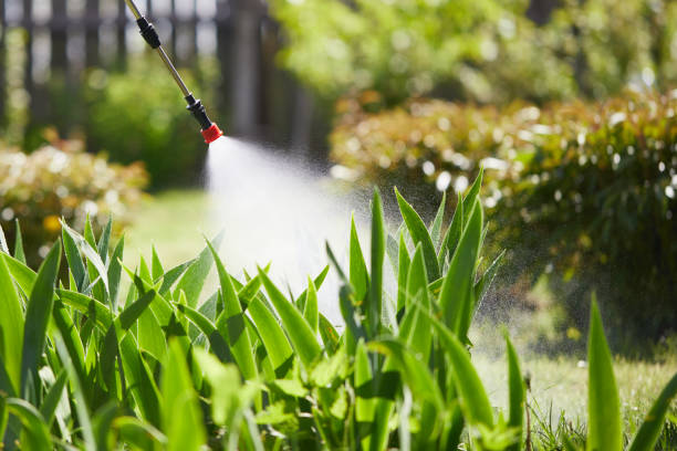 24/7 Emergency Mosquito Control experts in Hampton, AR
